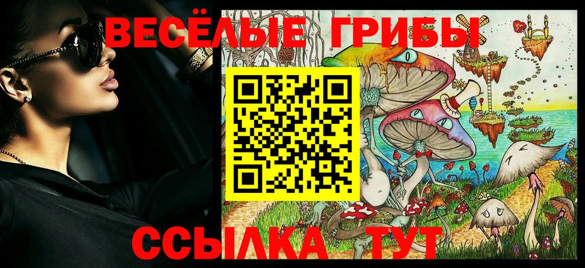 Галлюциногенные грибы прущие грибы Родники