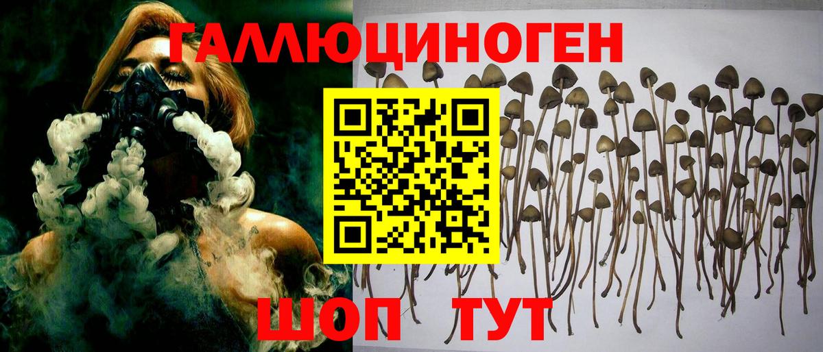 Псилоцибиновые грибы Psilocybine cubensis  где можно купить наркотик  Родники  Вход с VPN 